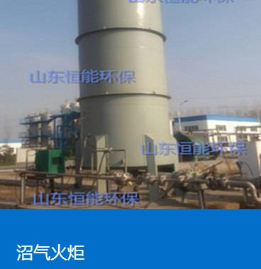 星空电子（中国）有限公司官网脱硫