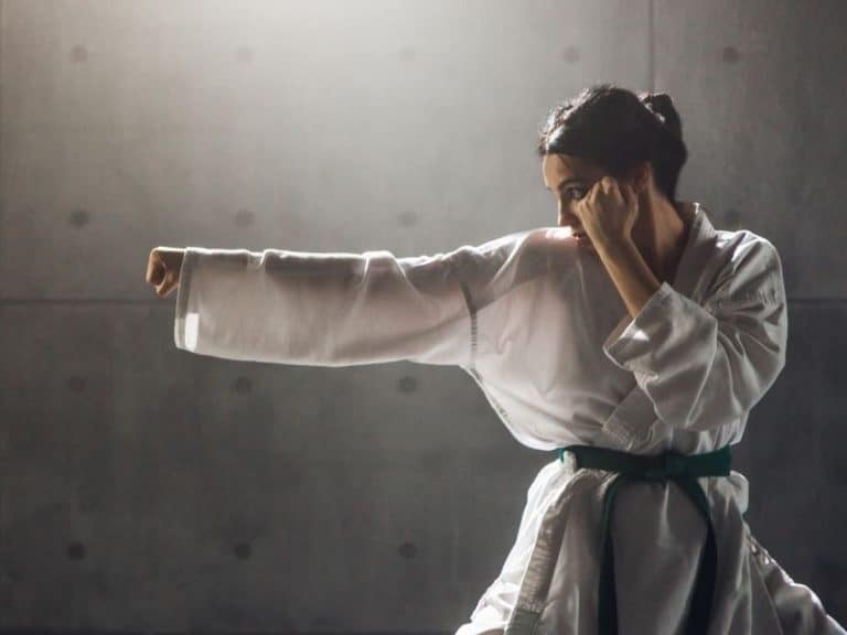 Karate vs Jiu Jitsu: EVERYTHING You Need to Know