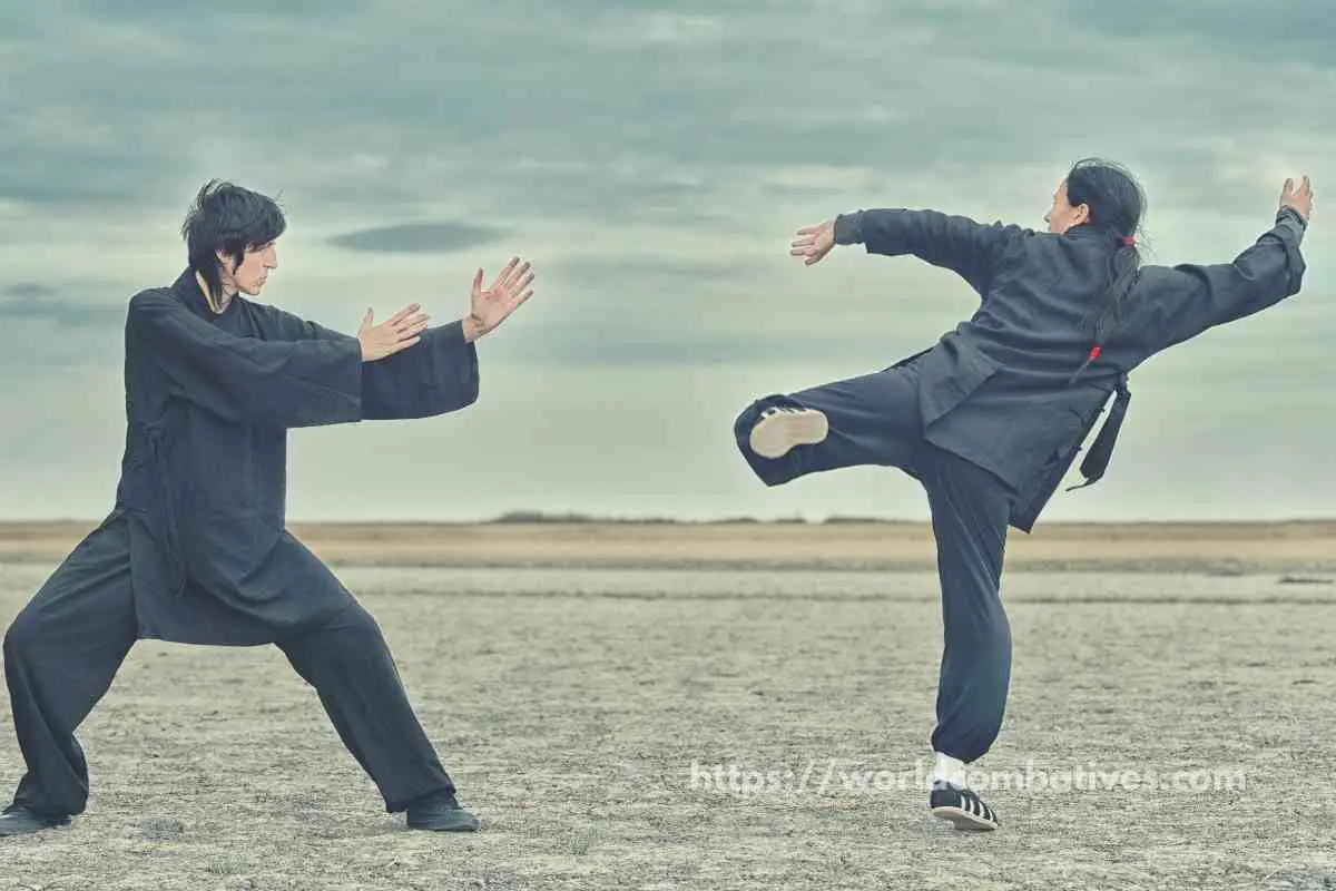 Chinese Martial Arts: Why not in MMA? - World Combatives Blog