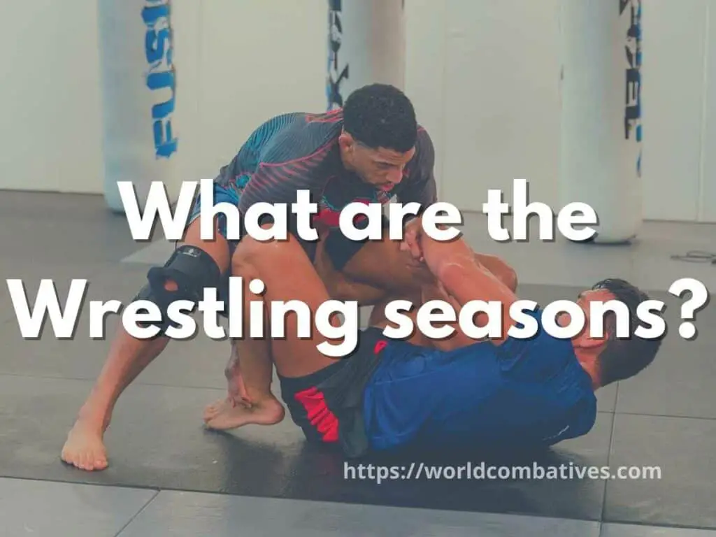 What are the Wrestling seasons?
